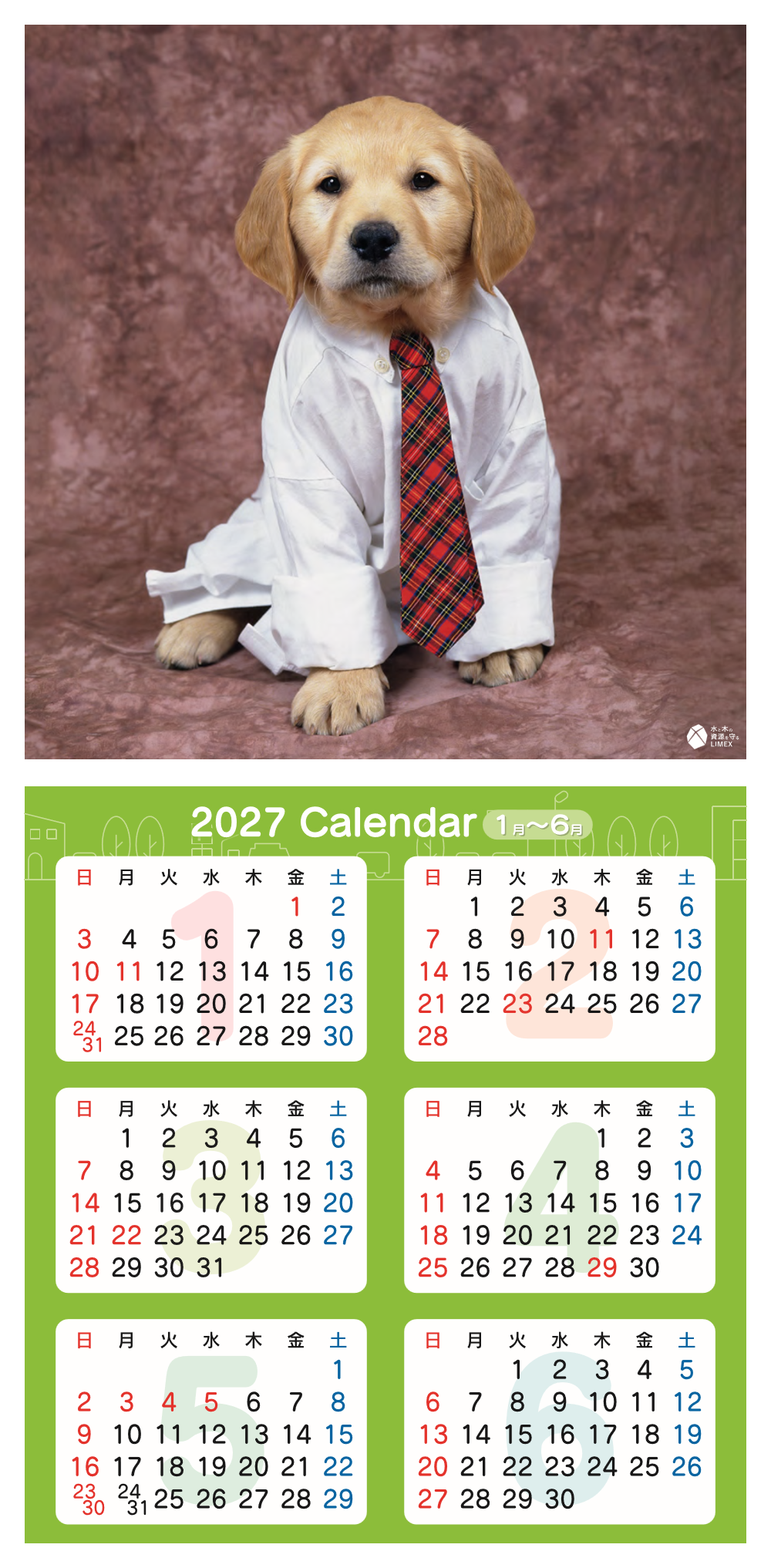 2027年短冊カレンダー 表面（1〜6月）ゴールデンレトリバー子犬のネクタイ姿写真