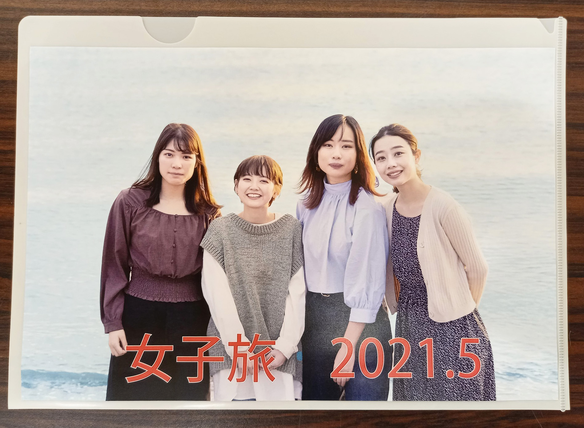 オリジナル印刷されたLIMEXクリアファイルのサンプル